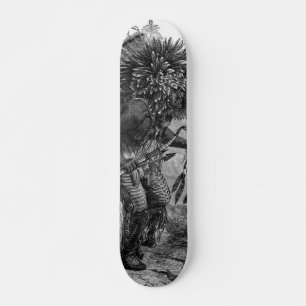 Skateboard indian