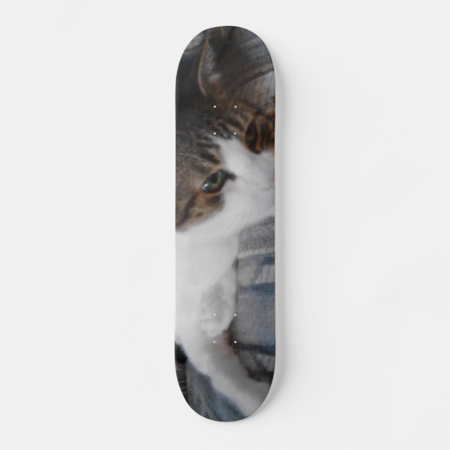Skateboard kattunge bräda 20,5 cm (Framsida)