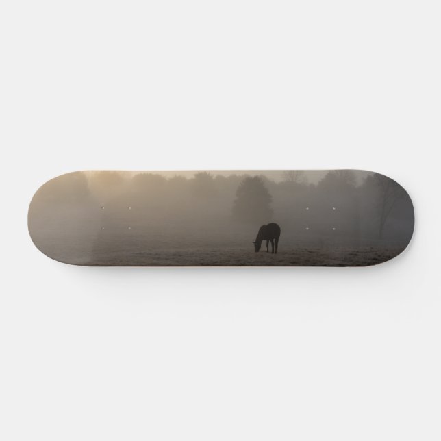 Skateboard land bräda 20,5 cm (Horz)