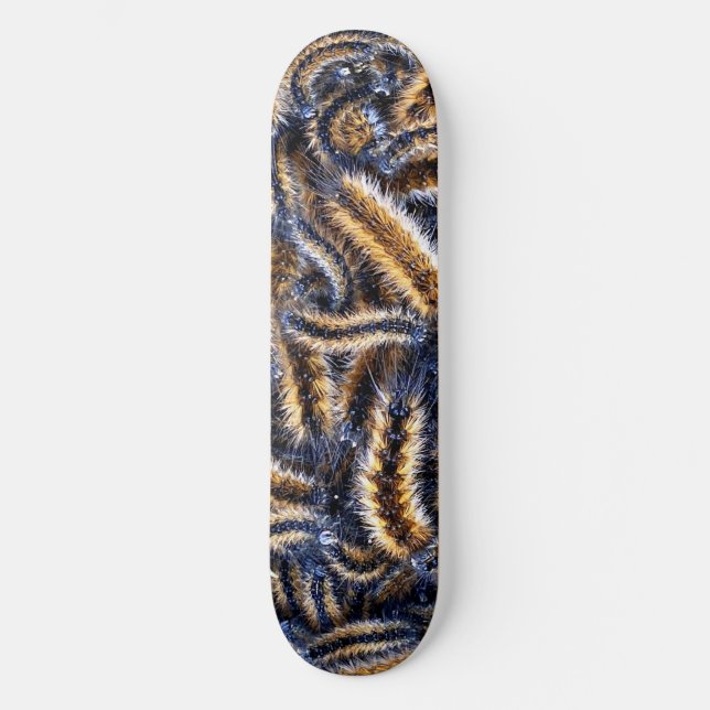 Skateboard Larv (Framsida)