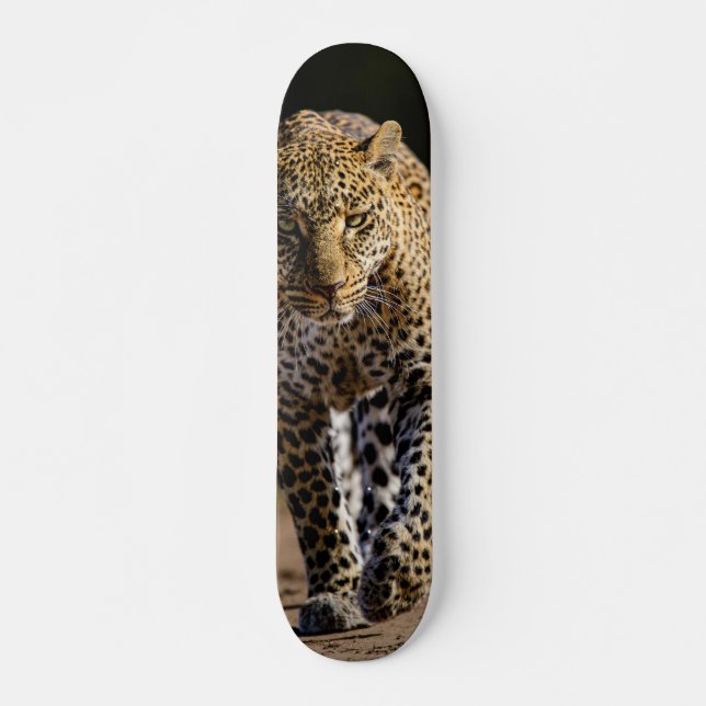 Skateboard Leopardo peligroso depredador (Framsida)