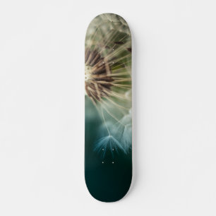 Skateboard - Maskrosfrön