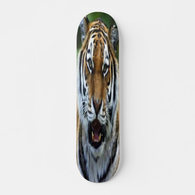 Skateboard med tigeransiktebilden (Framsida)