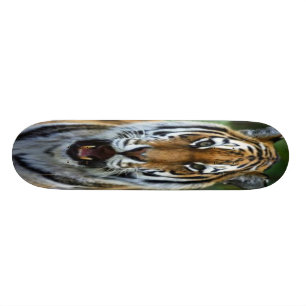 Skateboard med tigeransiktebilden
