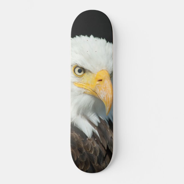 Skateboard - Natur Fågel Örn (Framsida)