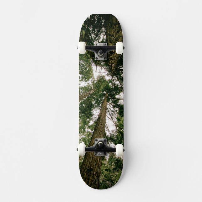 Skateboard Perspective Forest Bräda 19,5 Cm (Framsida)