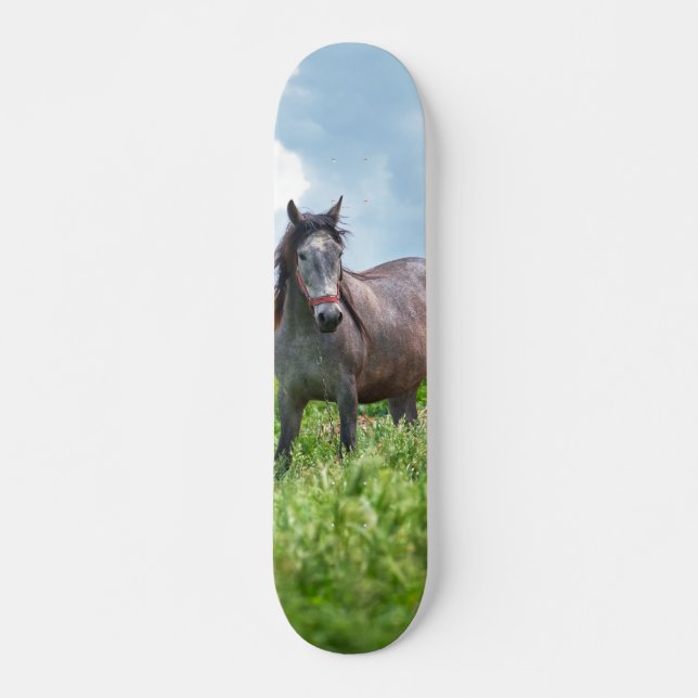 Skateboard Poderoso caballo gris en el campo (Framsida)