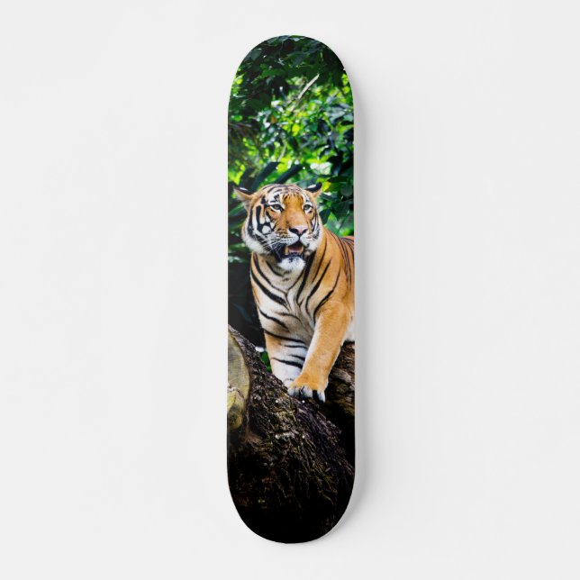 Skateboard Poderoso cazador tigre de Bengala (Framsida)