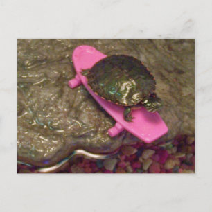 Skateboard Red Eared Slider Turtle Riding Skateboa Vykort