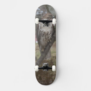 Skateboard Red-tailed Hawk - Välj DITT däck