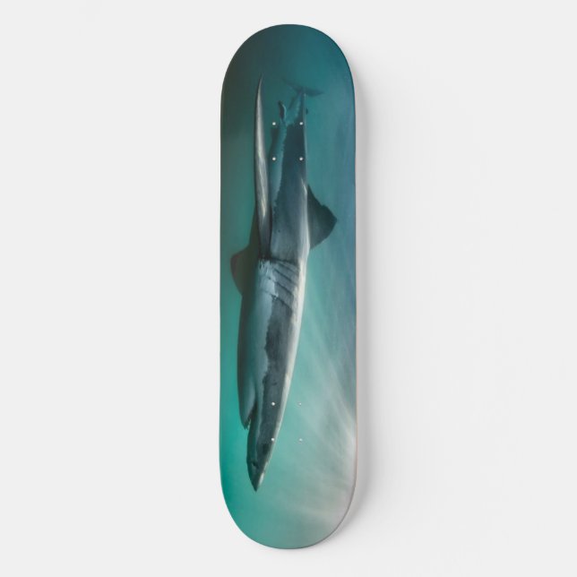 Skateboard Shark hungrig Predator. (Framsida)