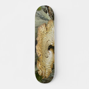 Skateboard Shelfungus på Stump i Träd Bräda 20 Cm