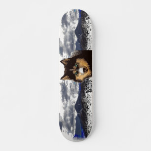 Skateboard siberian husky