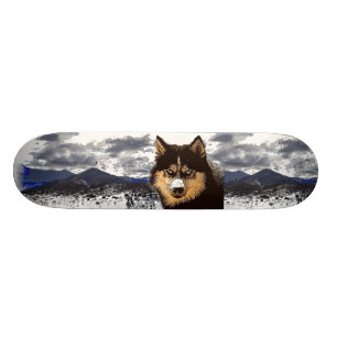 Skateboard siberian husky