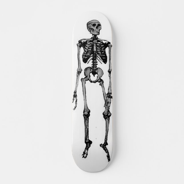 SKATEBOARD SKELETT (Framsida)