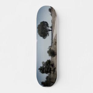 SKATEBOARD STIL DESIGN