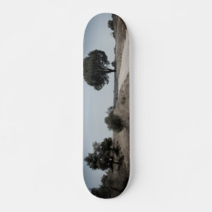 SKATEBOARD STIL DESIGN