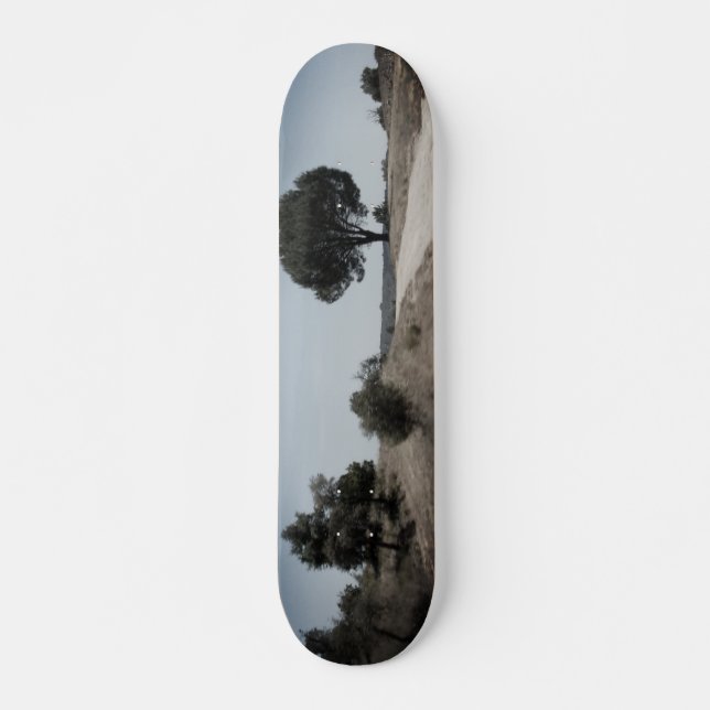 SKATEBOARD STIL DESIGN (Framsida)