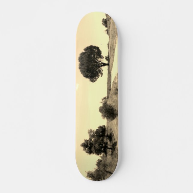 SKATEBOARD STIL DESIGN (Framsida)