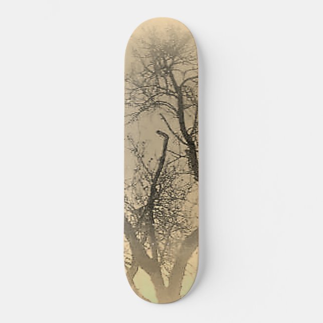 SKATEBOARD STIL OCH DESIGN (Framsida)