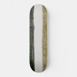 SKATEBOARD STIL OCH DESIGN