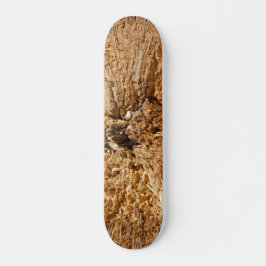 SKATEBOARD STIL OCH DESIGN