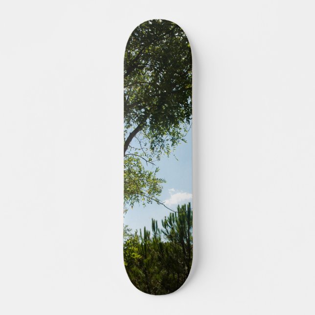 SKATEBOARD STIL OCH DESIGN (Framsida)