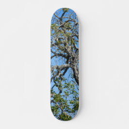 SKATEBOARD STIL OCH DESIGN