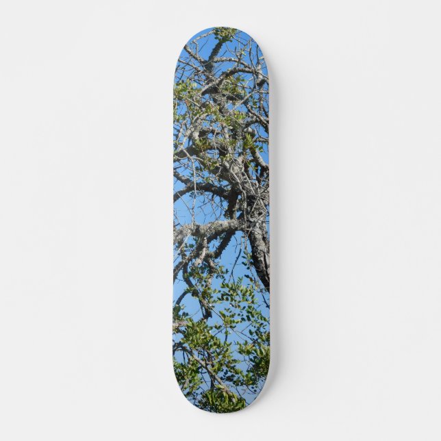 SKATEBOARD STIL OCH DESIGN (Framsida)
