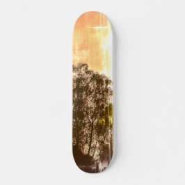 SKATEBOARD STIL OCH DESIGN