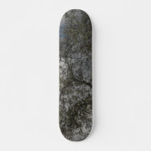 SKATEBOARD STIL OCH DESIGN