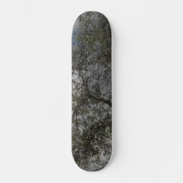SKATEBOARD STIL OCH DESIGN