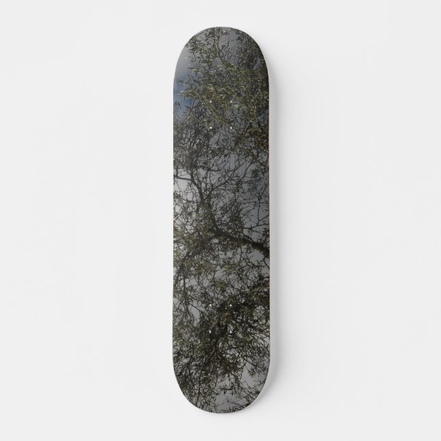 SKATEBOARD STIL OCH DESIGN (Framsida)