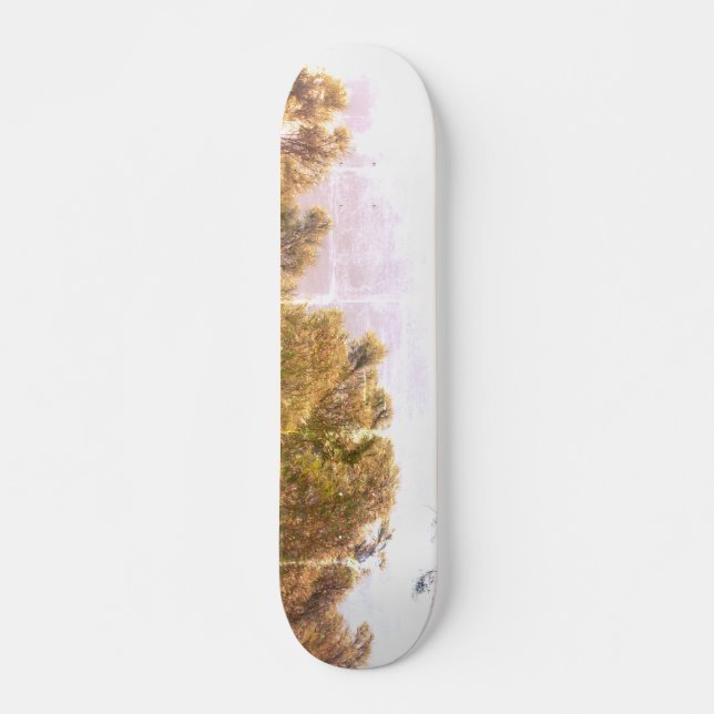 SKATEBOARD STIL OCH DESIGN (Framsida)