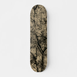 SKATEBOARD STIL OCH DESIGN