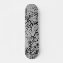 SKATEBOARD STIL OCH DESIGN