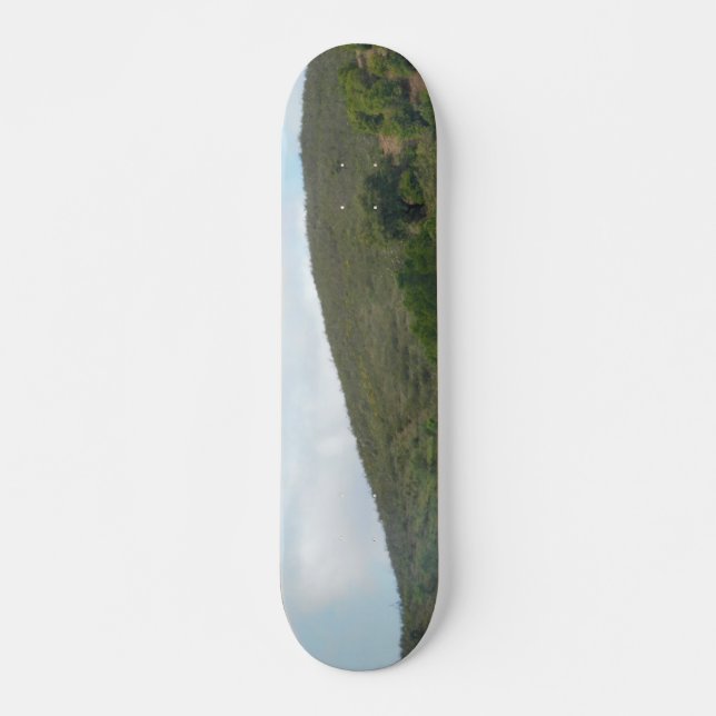 SKATEBOARD STIL OCH DESIGN (Framsida)