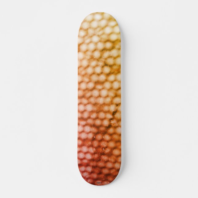 SKATEBOARD STIL OCH DESIGN (Framsida)