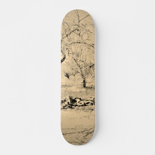 SKATEBOARD STIL OCH DESIGN (Framsida)