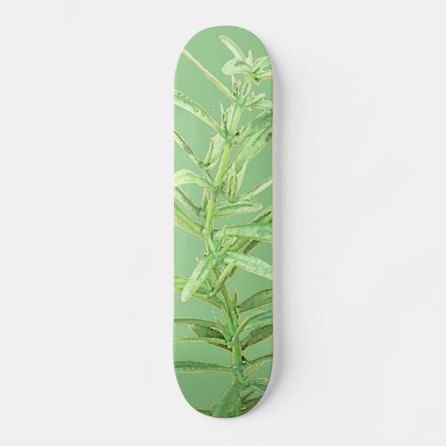 SKATEBOARD STIL OCH DESIGN (Framsida)