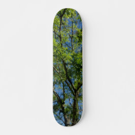SKATEBOARD STIL OCH DESIGN