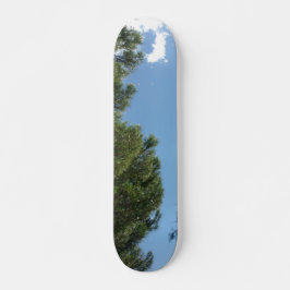 SKATEBOARD STIL OCH DESIGN