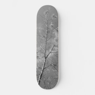 Skateboard stil och utformning