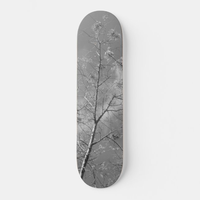 Skateboard stil och utformning (Framsida)