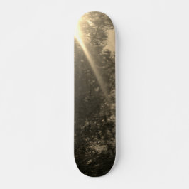 SKATEBOARD STYLE AND DESIGN