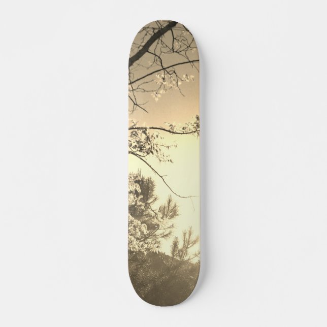 SKATEBOARD STYLE AND DESIGN (Framsida)