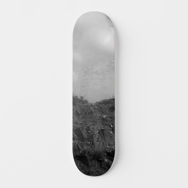SKATEBOARD STYLE DESIGN (Framsida)