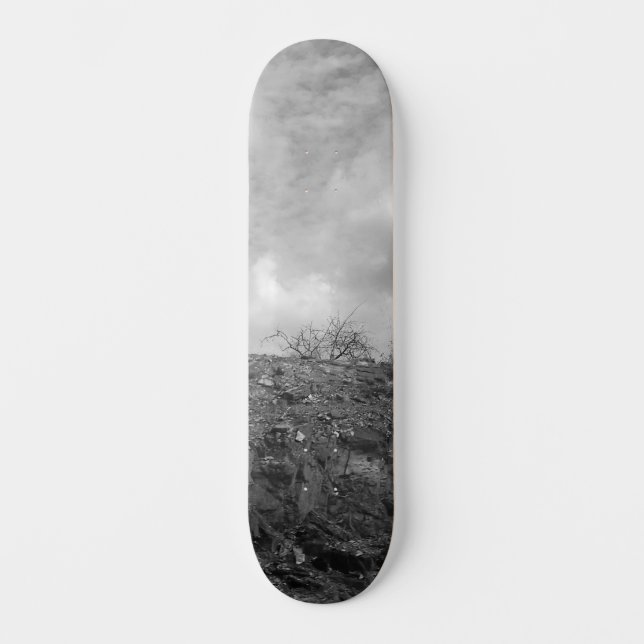 SKATEBOARD STYLE DESIGN (Framsida)