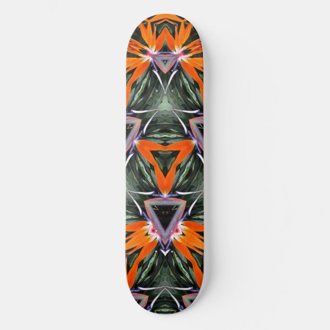 Skateboard the KALEIDOSCOPE of LIFE (Framsida)