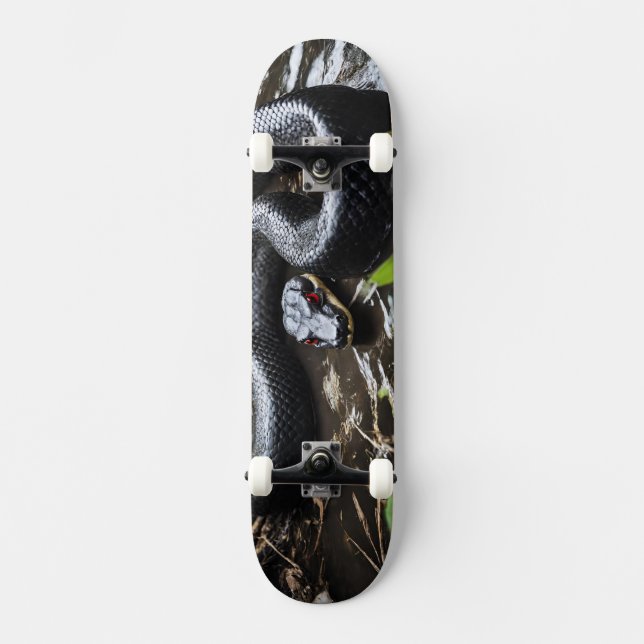 Skateboard with black anaconda (Framsida)